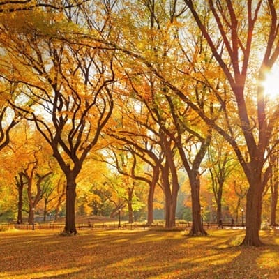 Lê Thị Đào avatar